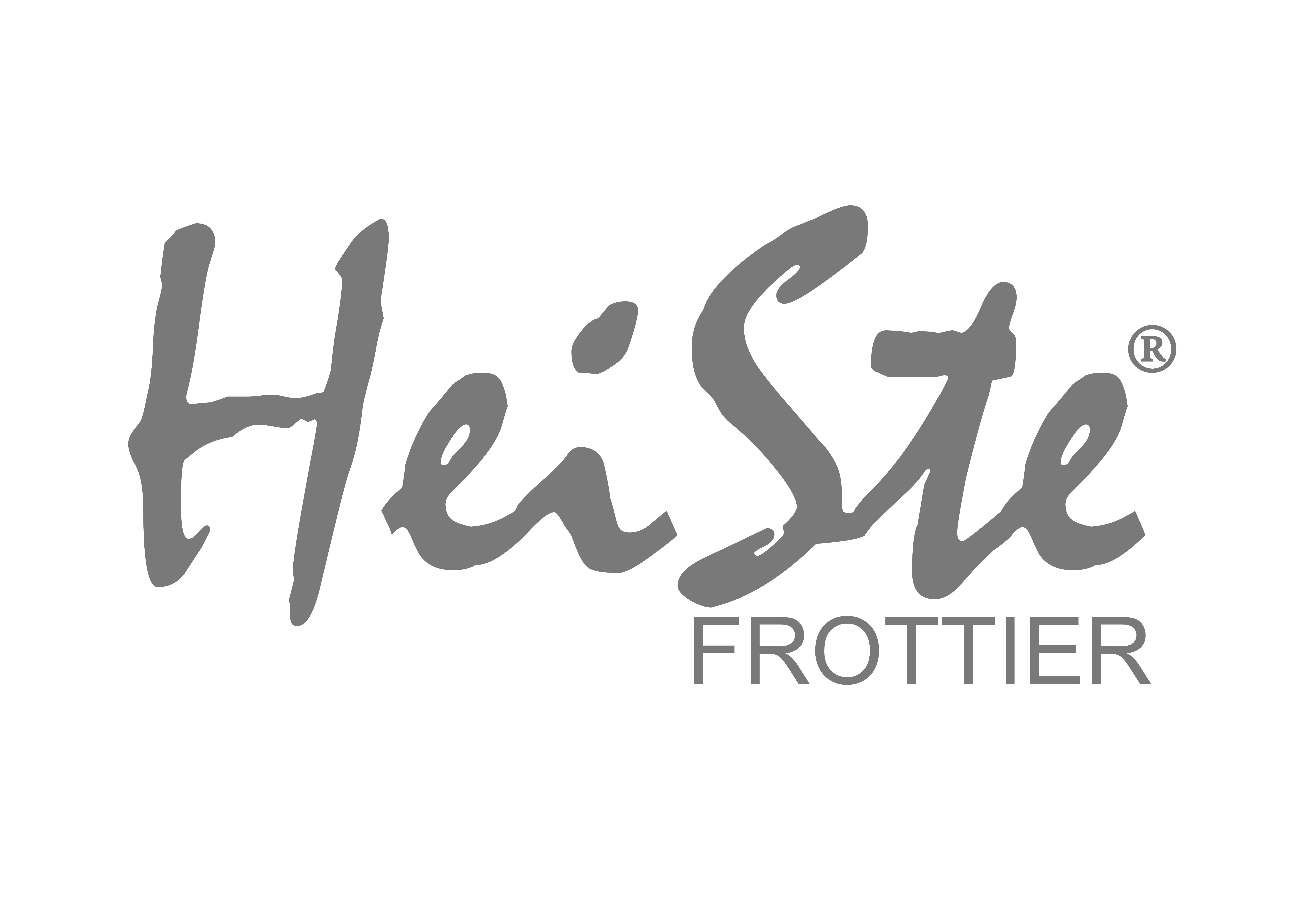 HeiSte Frottier